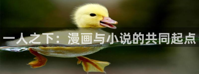 虫虫漫画韩式：一人之下：漫画与小说的共同起点