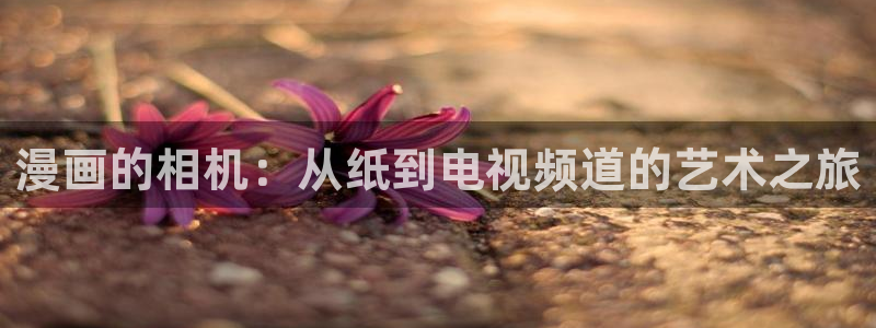 虫虫漫画免费漫画弹窗入口在哪看不花钱：漫画的相机：从纸到电视频道的艺术之旅