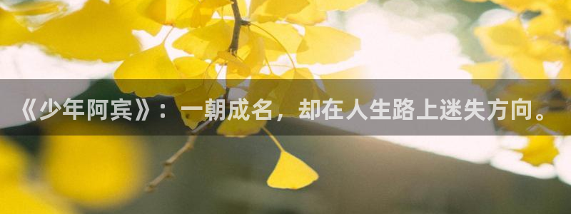 虫虫漫画推荐免费：《少年阿宾》：一朝成名，却在人生路上迷失方向。