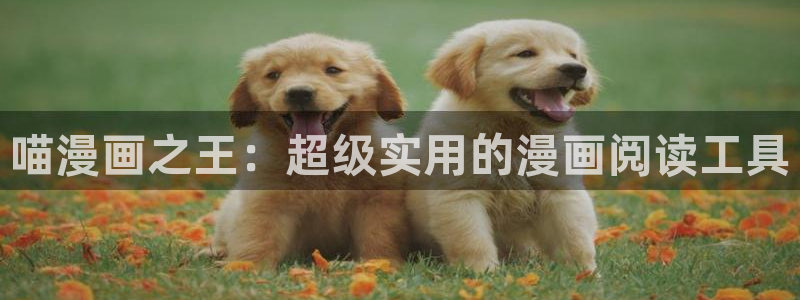 虫虫漫画在线观看免费阅读全文：喵漫画之王：超级实用的漫画阅读工具