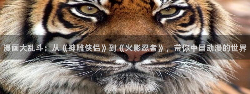 漫画在线虫虫：漫画大乱斗：从《神雕侠侣》到《火影忍者》，带你中国动漫的世界