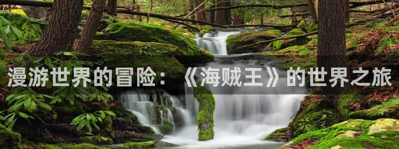 虫虫漫画台：漫游世界的冒险：《海贼王》的世界之旅